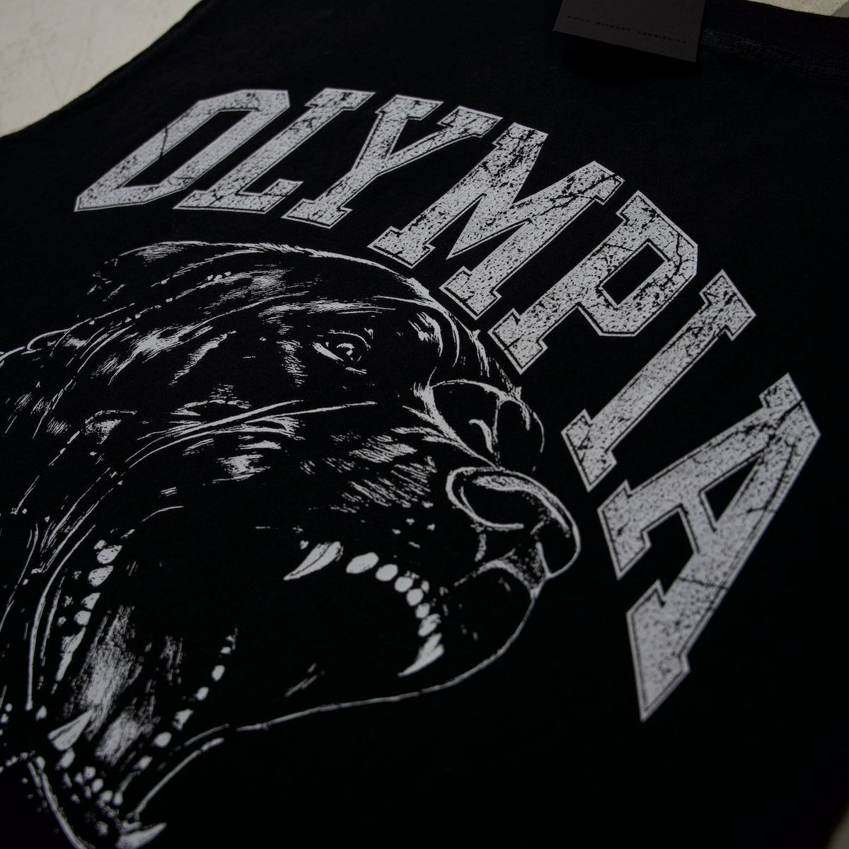 DEMNWORLD CROPPED CUTOFF